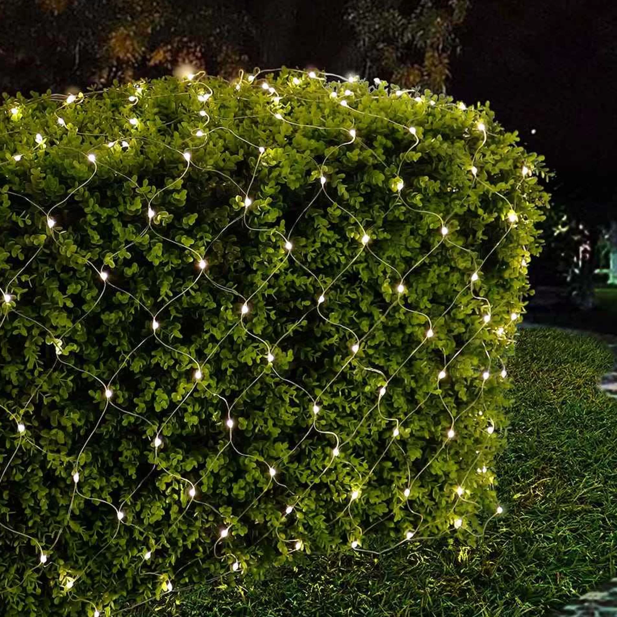 Kurt Adler 300-Light 6-Foot Starburst Warm White Led Net Light