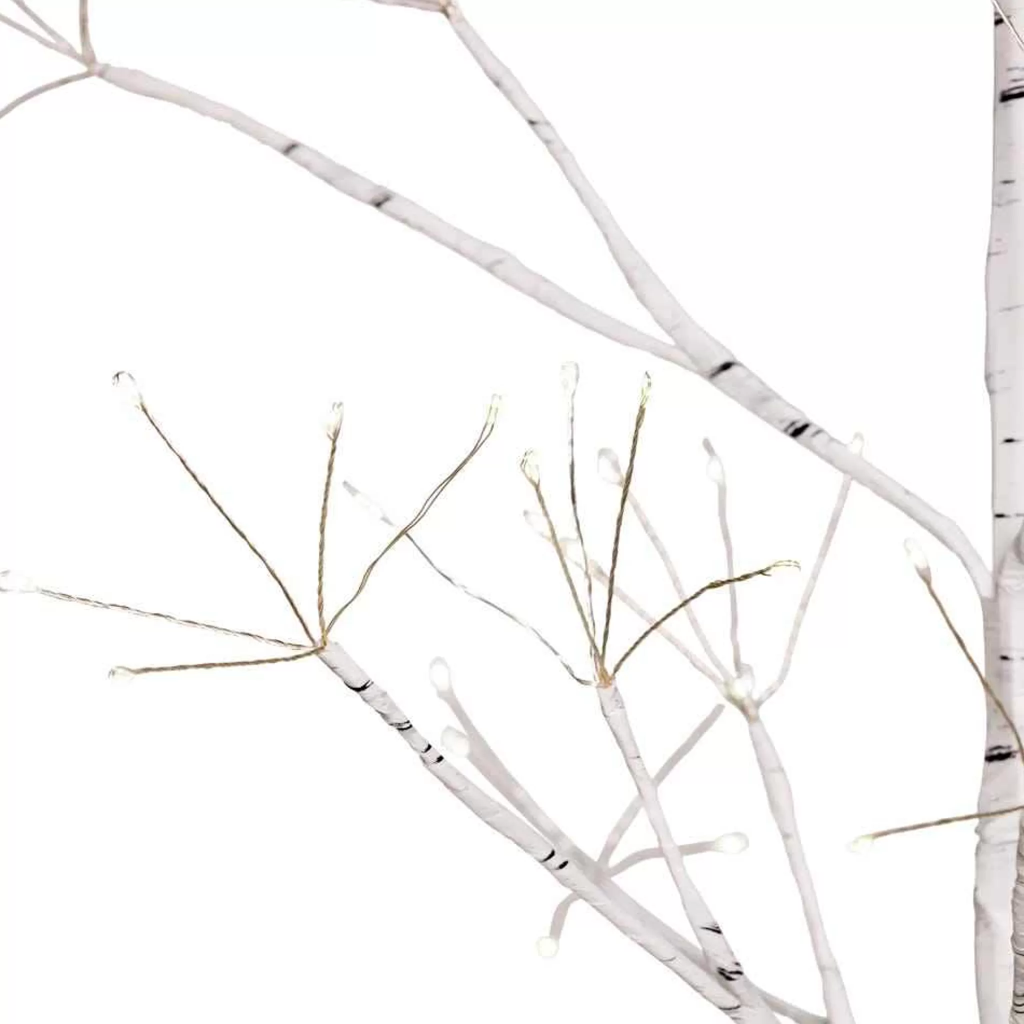 Kurt Adler 5-Foot White Birch Tree With Warm White Led 8 Function Lights