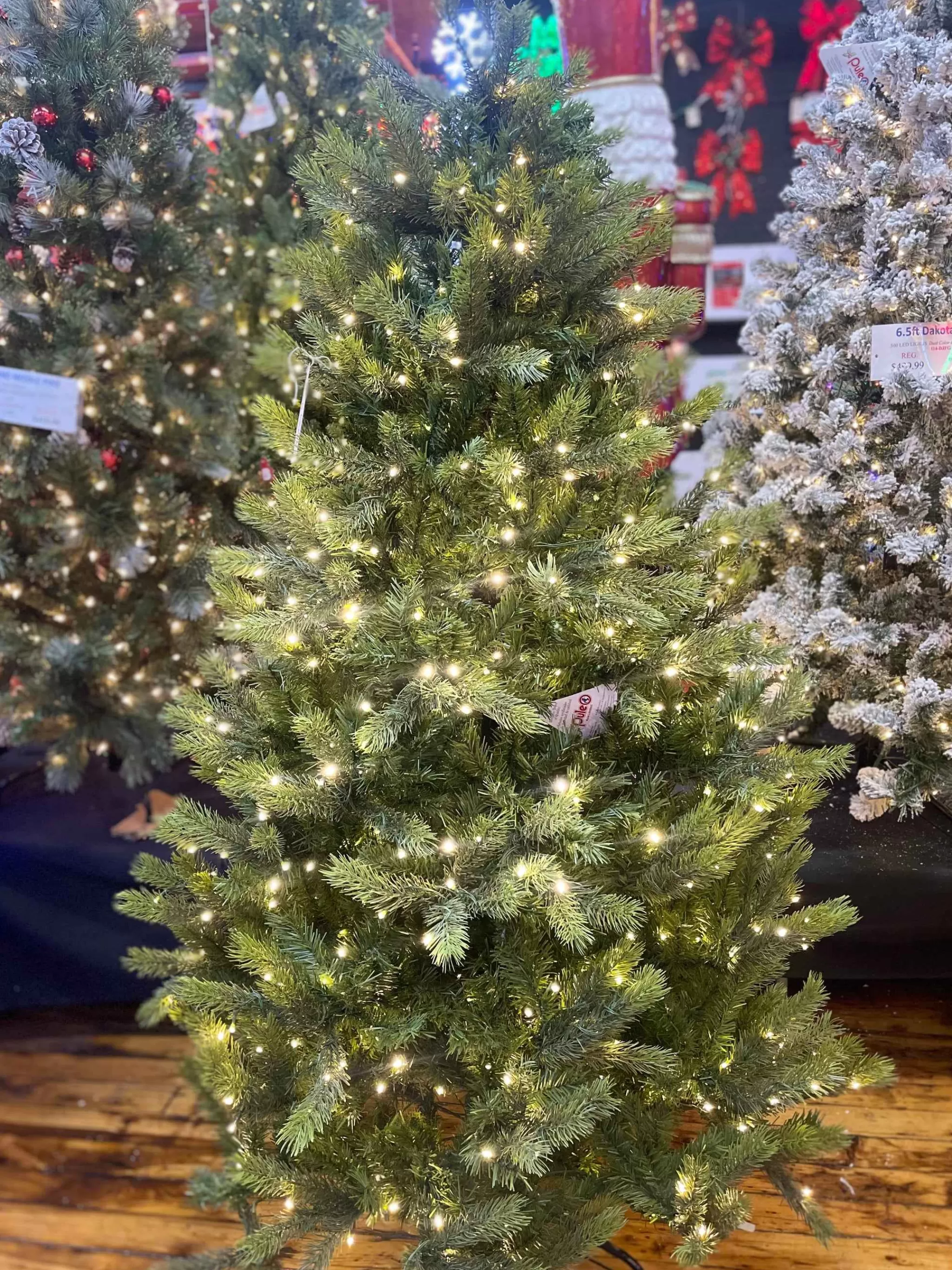 Puleo International 6.5 Pre-Lit Kensington Fir Tree #114-Ksg-65Qld5K6
