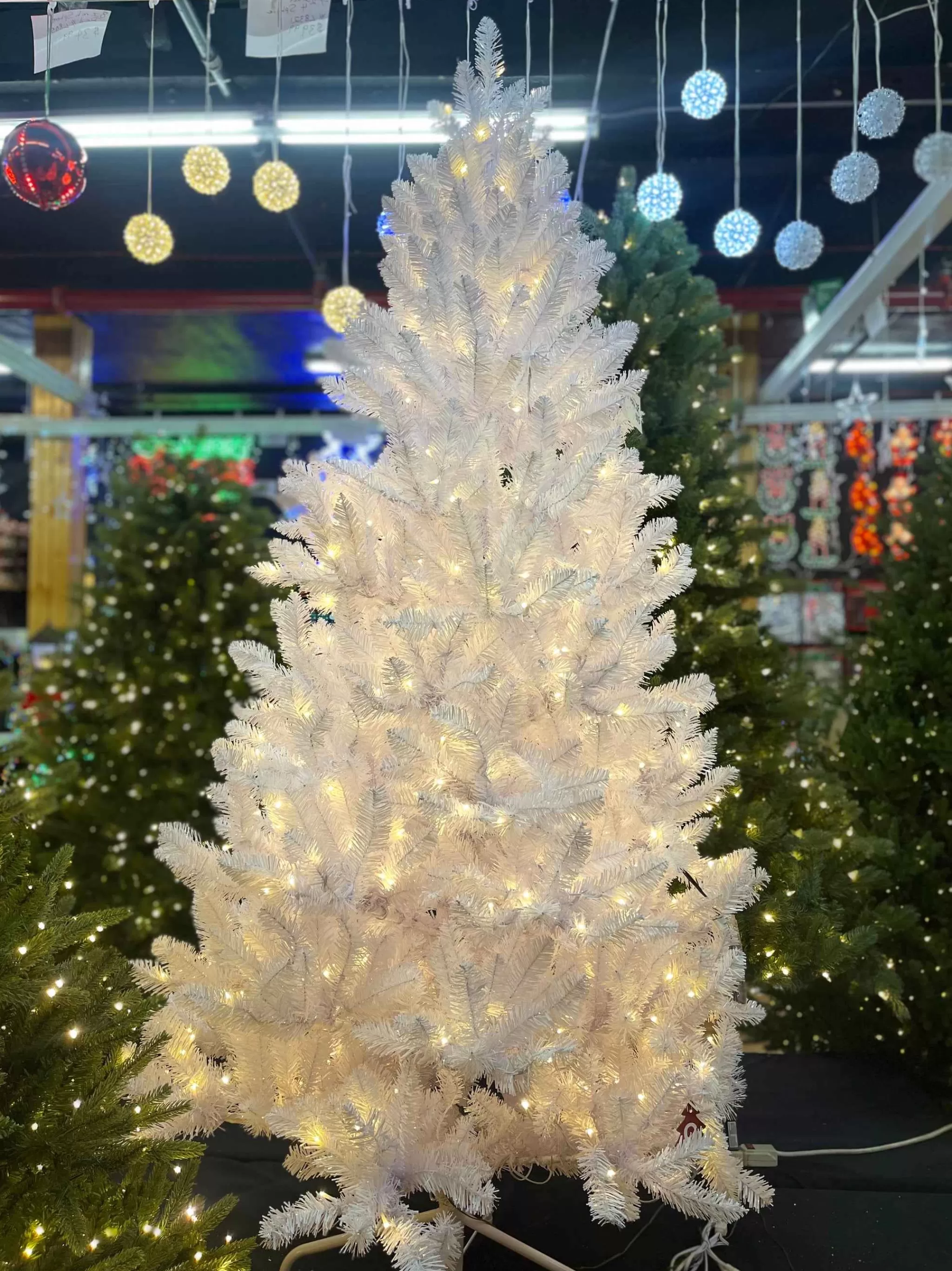 Puleo International 6.5Ft Pre-Lit Evergreen Spruce Shiny White Quick Connect Tree With Multi-Function Warm White To Multi Led Lights #114-Esw-65Qldf3K5