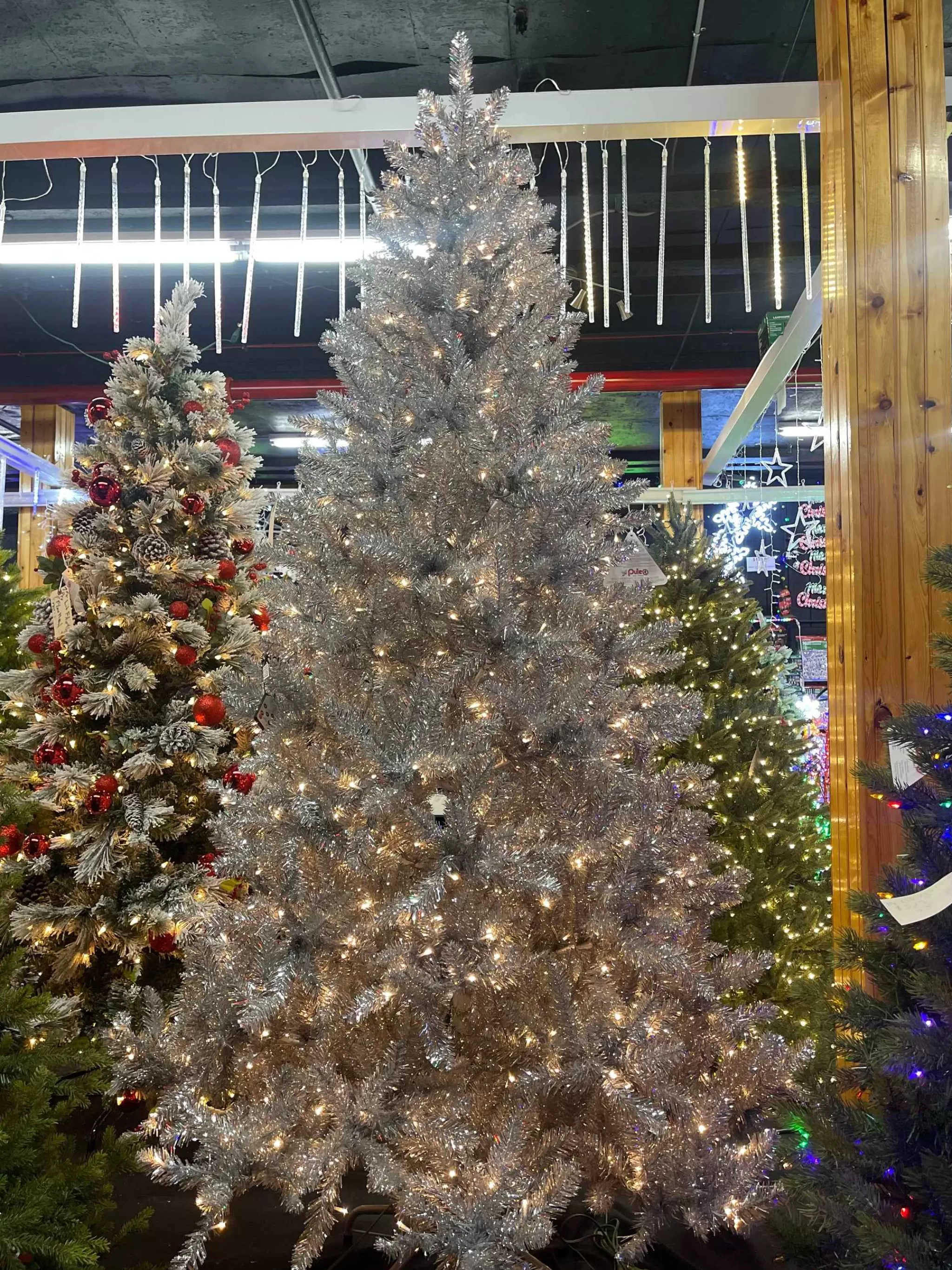 Puleo International 7.5Ft Pre-Lit Evergreen Spruce Shiny White Quick Connect Tree With Multi-Function Warm White To Multi Led Lights #114-Esw-75Qld3K7